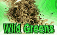 Wild greens